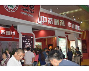 2015第八届中国武汉茶业博览交易会 专业会展服务，助力茶产业腾飞