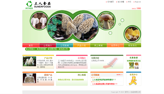 赋能滇企数字化 昆明睿腾科技与云南商讯网的网站建设及推广全攻略